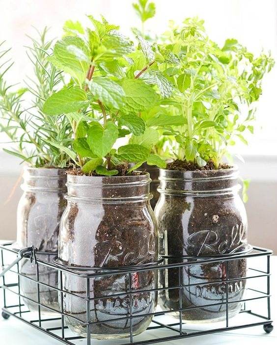 16 idées de potagers en conteneurs pour les jardiniers urbains - 140 16 idées de potagers en conteneurs pour les jardiniers urbains - 139