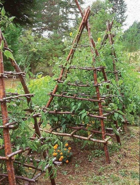 35 idées de treillis pour économiser de l'espace et ajouter du charme à votre jardin - 268 35 idées de treillis pour économiser de l'espace et ajouter du charme à votre jardin - 267