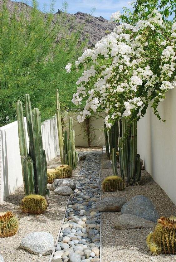 30 idées d'aménagement paysager du désert pour transformer votre cour terne en oasis - 236 30 idées d'aménagement paysager du désert pour transformer votre cour terne en oasis - 235