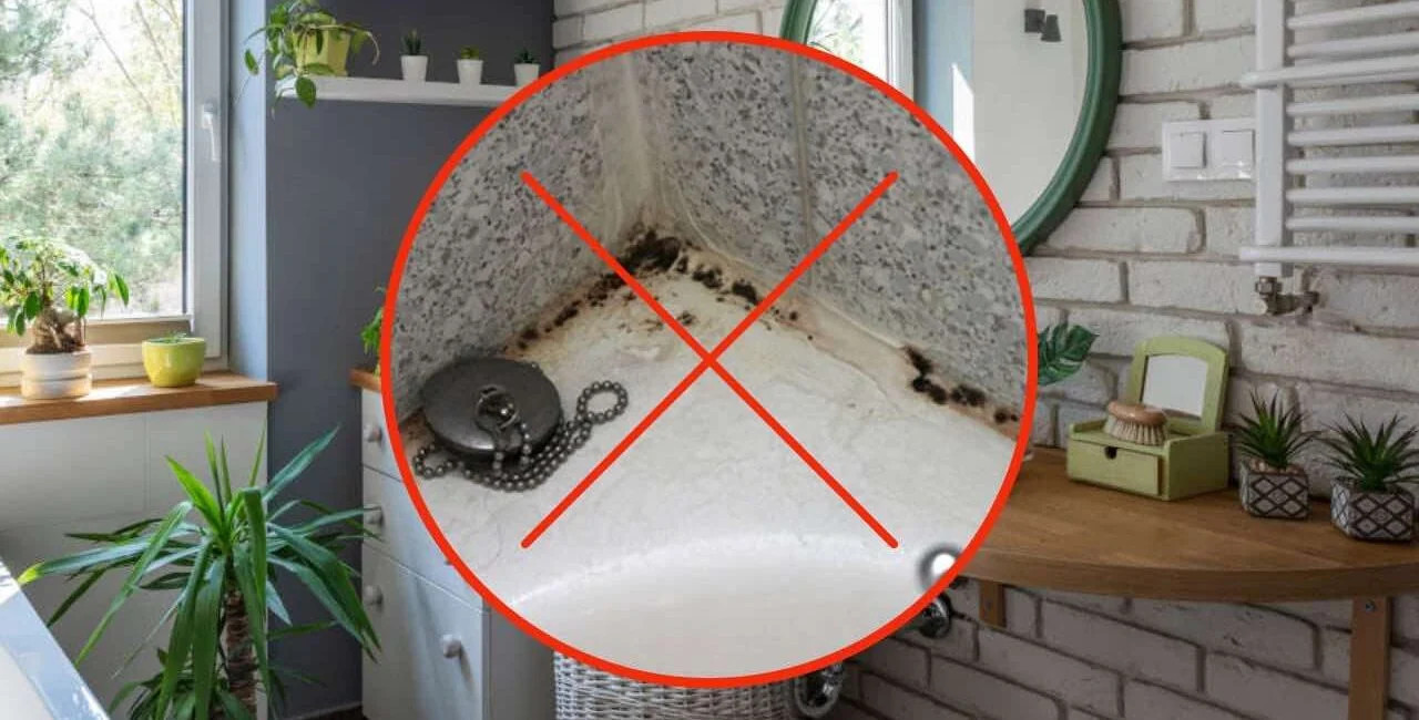 Placez ces plantes dans la salle de bain et vous ne souffrirez plus de moisissure et d’humidité