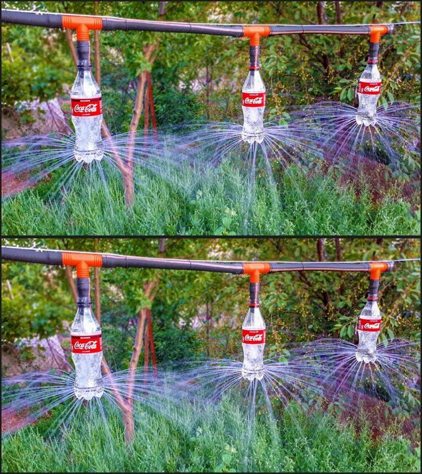 Apprenez à effectuer une irrigation par arrosage et goutte à goutte étape par étape.