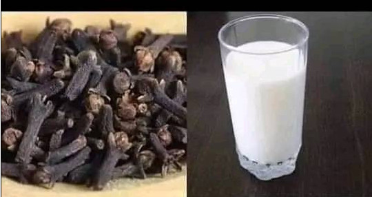 Découvrez pourquoi mettre des clous de girofle dans votre tasse de lait est bon pour votre santé !