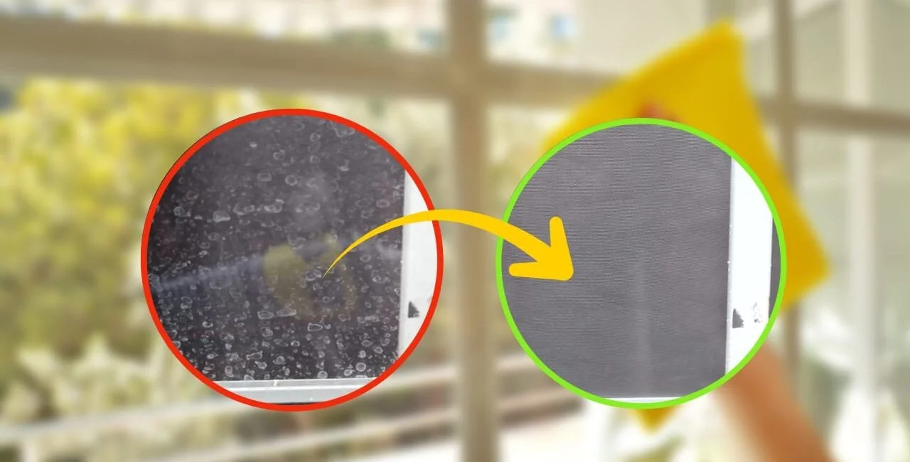 Taches de savon et d’eau sur le verre, voici comment les rendre à nouveau propres et claires