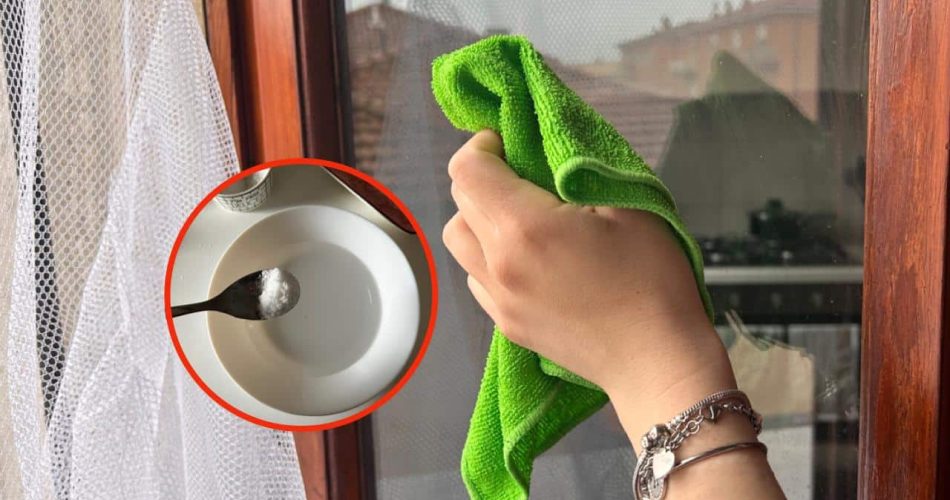 Découvrez la méthode qu’utilisent les hôtels 5 étoiles pour nettoyer les vitres sans laisser de traces.