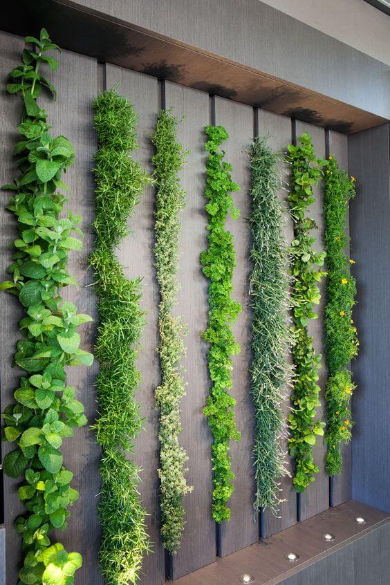 47 façons étonnantes d'afficher des plantes dans votre espace de vie - 317
