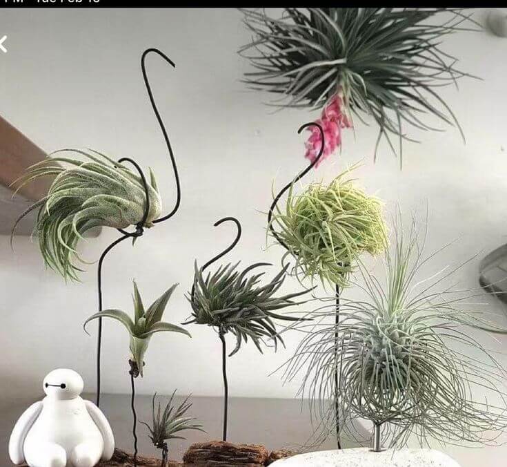47 façons étonnantes d'afficher des plantes dans votre espace de vie - 325
