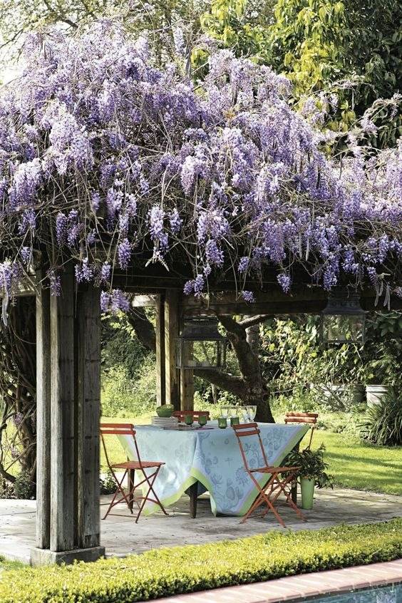 30 idées inspirantes pour créer une pergola colorée et parfumée - 195