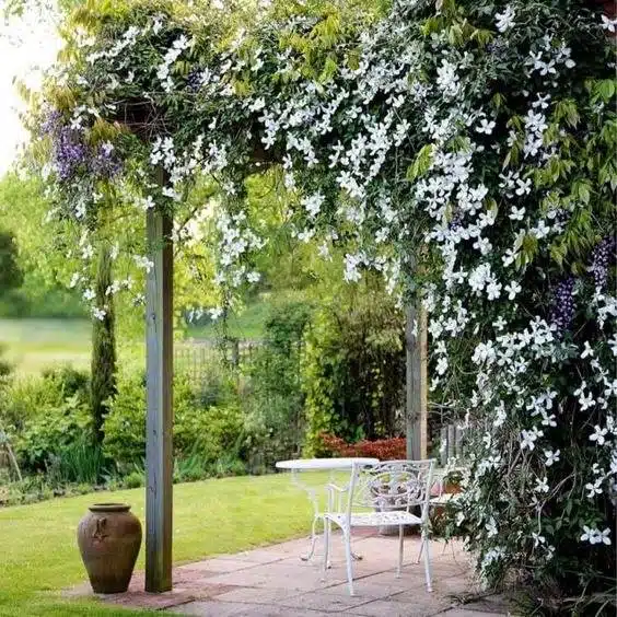 30 idées inspirantes pour créer une pergola colorée et parfumée - 201