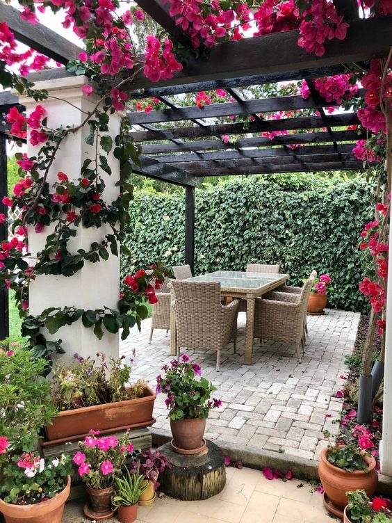 30 idées inspirantes pour créer une pergola colorée et parfumée - 203