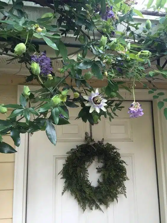 30 idées inspirantes pour créer une pergola colorée et parfumée - 205