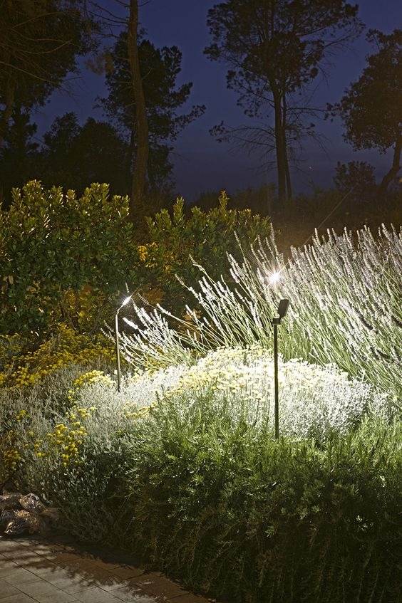 30 idées d'éclairage enchanteresses pour créer un jardin de conte de fées - 247