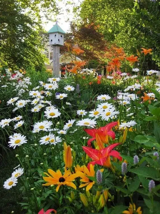 30 idées de jardins de chalets pour apporter un charme vintage à votre paysage - 209