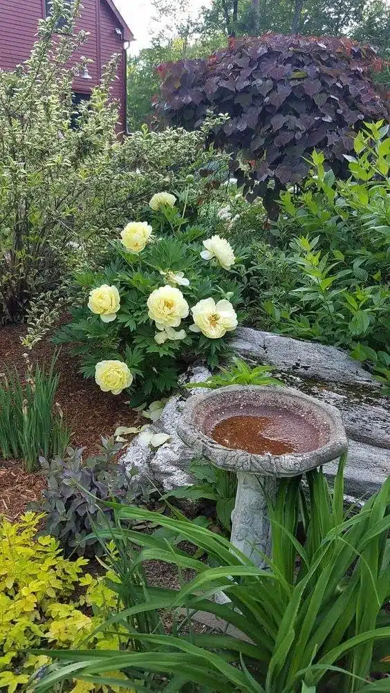 30 idées de jardins de chalets pour apporter un charme vintage à votre paysage - 235