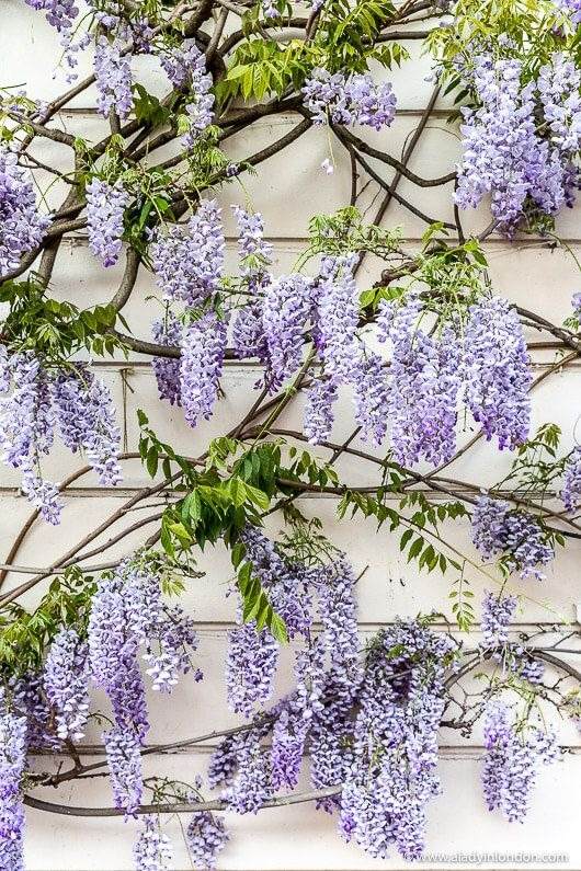 33 idées de murs de soutènement pour ajouter du charme et du caractère à votre jardin - 215