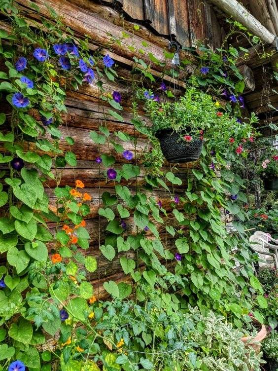 33 idées de murs de soutènement pour ajouter du charme et du caractère à votre jardin - 219