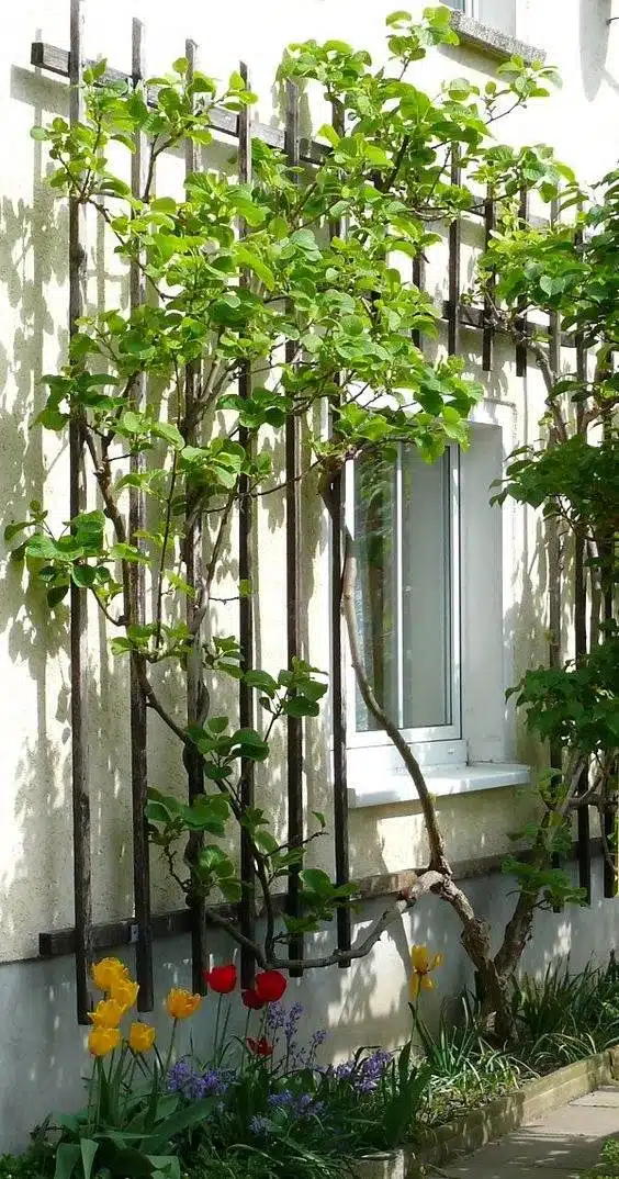 33 idées de murs de soutènement pour ajouter du charme et du caractère à votre jardin - 231