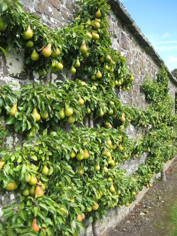 33 idées de murs de soutènement pour ajouter du charme et du caractère à votre jardin - 233