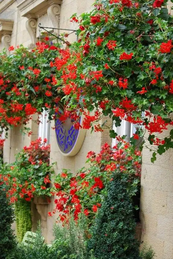 33 idées de murs de soutènement pour ajouter du charme et du caractère à votre jardin - 243