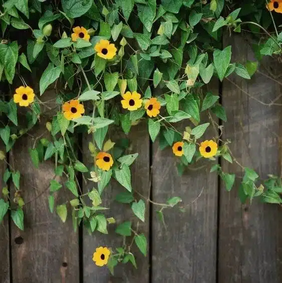 33 idées de murs de soutènement pour ajouter du charme et du caractère à votre jardin - 257