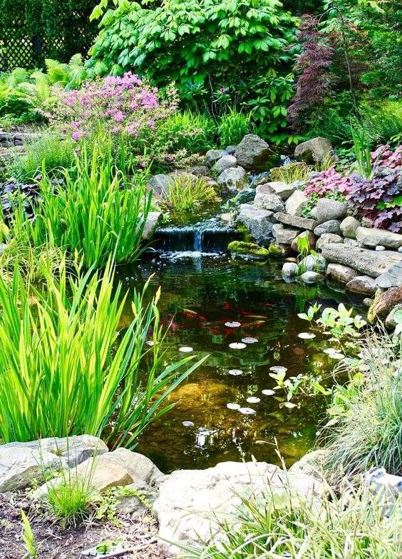 30 idées d'étangs d'arrière-cour que vous adorerez : du moderne au rustique - 193