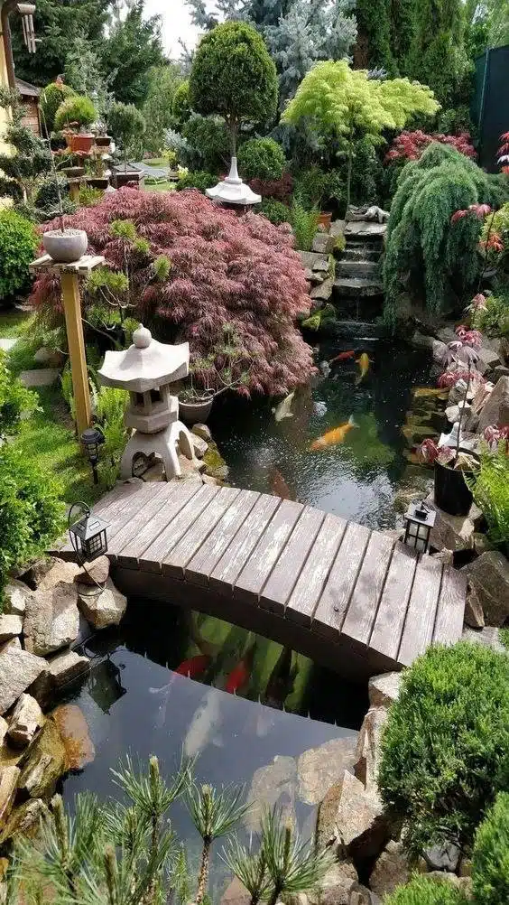 30 idées d'étangs d'arrière-cour que vous adorerez : du moderne au rustique - 201