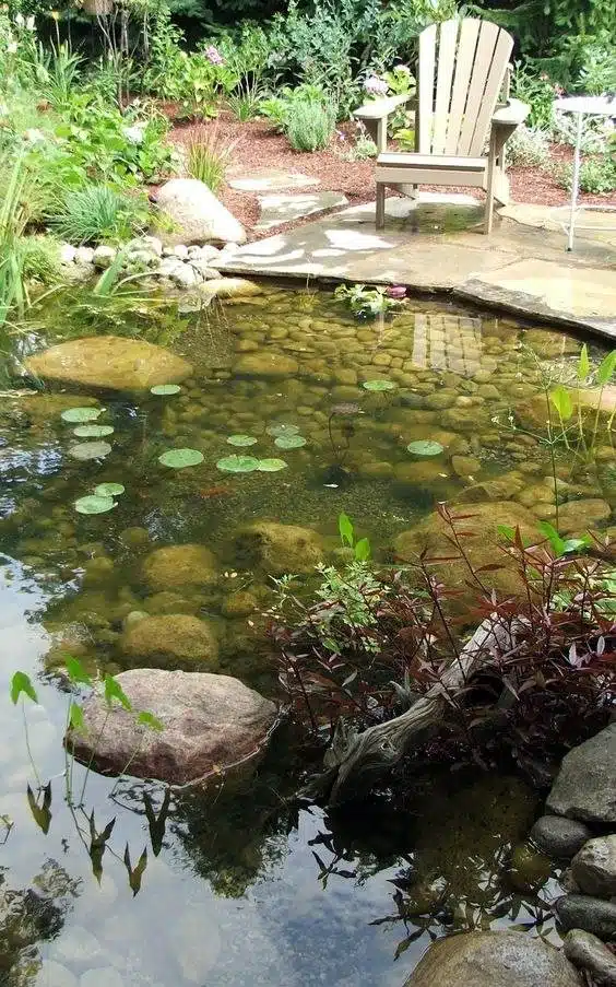 30 idées d'étangs d'arrière-cour que vous adorerez : du moderne au rustique - 203