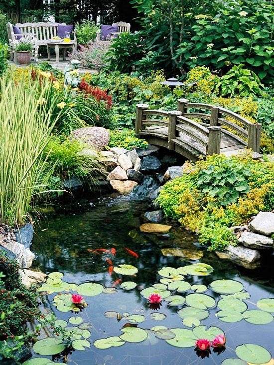 30 idées d'étangs d'arrière-cour que vous adorerez : du moderne au rustique - 209