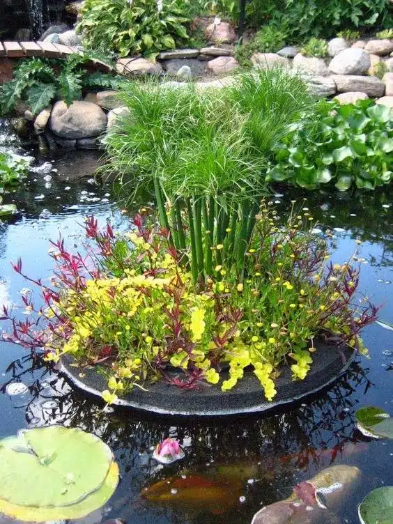 30 idées d'étangs de jardin que vous adorerez : du moderne au rustique - 237