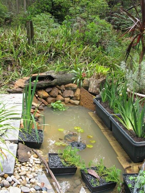 30 idées d'étangs d'arrière-cour que vous adorerez : du moderne au rustique - 239