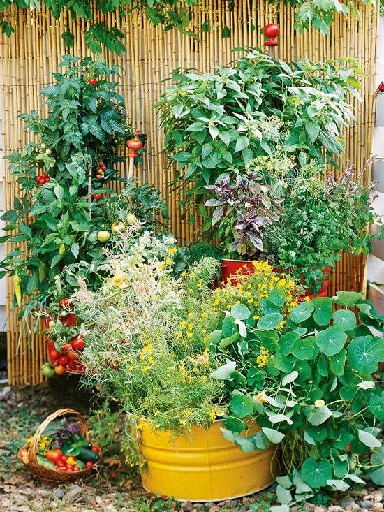 16 idées de potagers en conteneurs pour les jardiniers urbains - 111