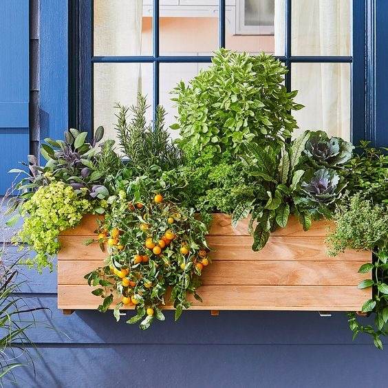 16 idées de potagers en conteneurs pour les jardiniers urbains - 125