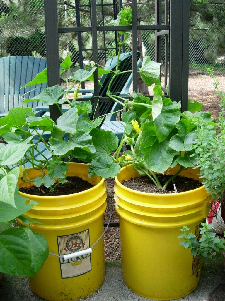 16 idées de potagers en conteneurs pour les jardiniers urbains - 133