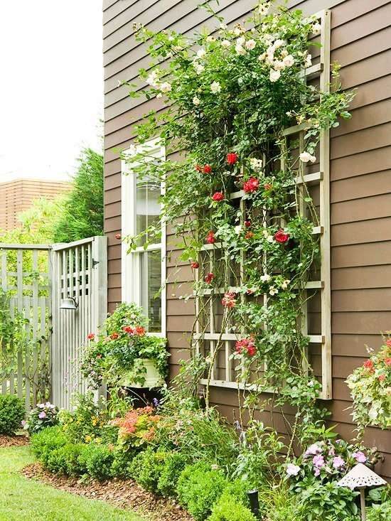 35 idées de treillis pour économiser de l'espace et ajouter du charme à votre jardin - 223