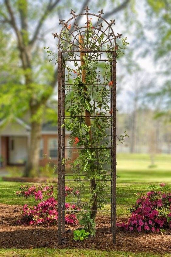 35 idées de treillis pour économiser de l'espace et ajouter du charme à votre jardin - 233