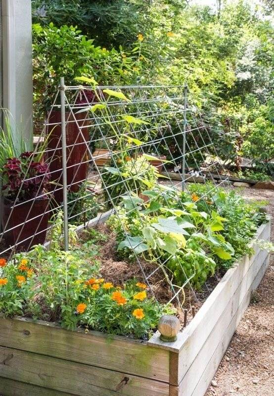 35 idées de treillis pour économiser de l'espace et ajouter du charme à votre jardin - 243