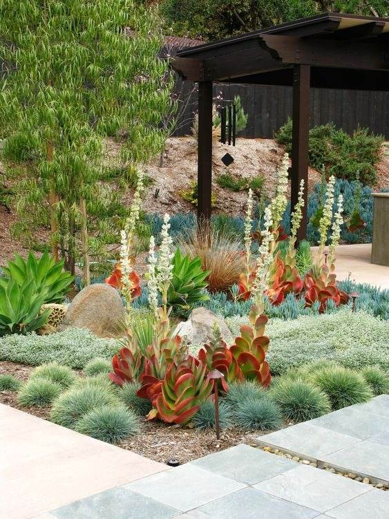 30 idées d'aménagement paysager du désert pour transformer votre cour terne en oasis - 193
