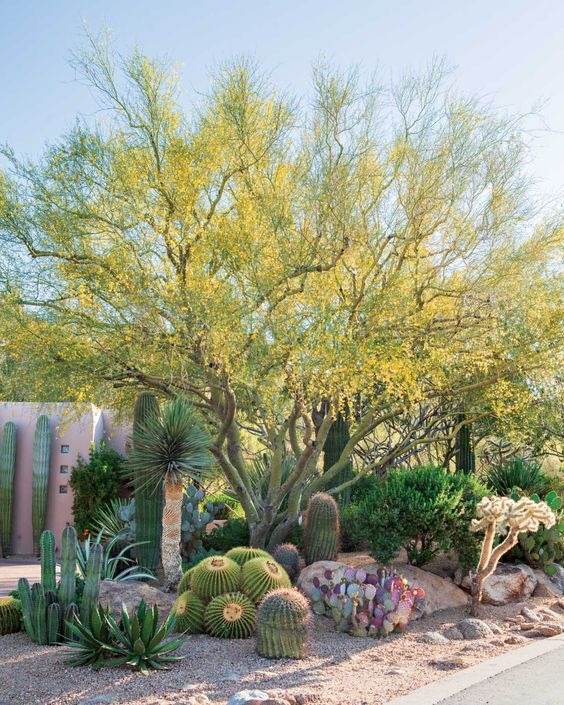30 idées d'aménagement paysager du désert pour transformer votre cour terne en oasis - 205