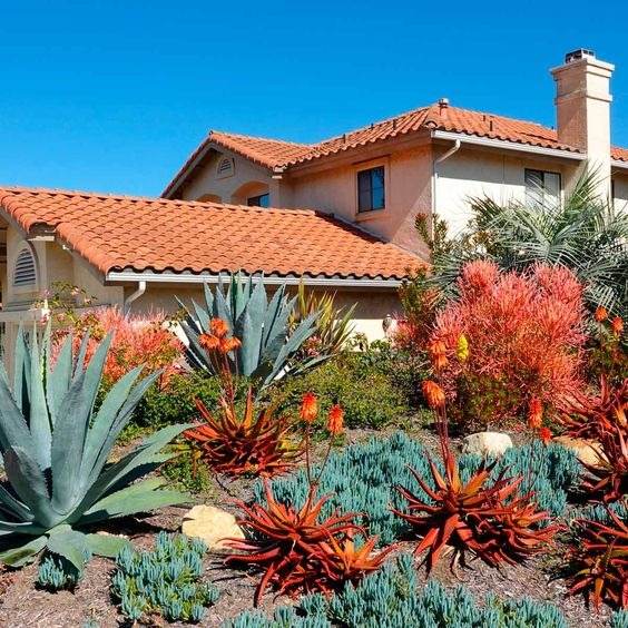 30 idées d'aménagement paysager du désert pour transformer votre cour terne en oasis - 215