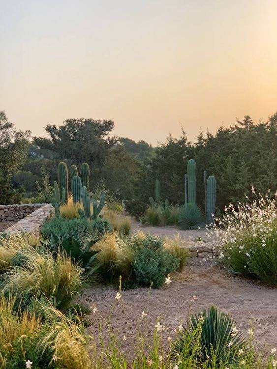 30 idées d'aménagement paysager du désert pour transformer votre cour terne en oasis - 223