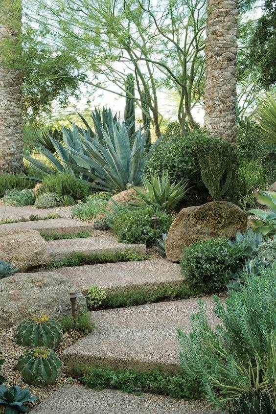 30 idées d'aménagement paysager du désert pour transformer votre cour terne en oasis - 225