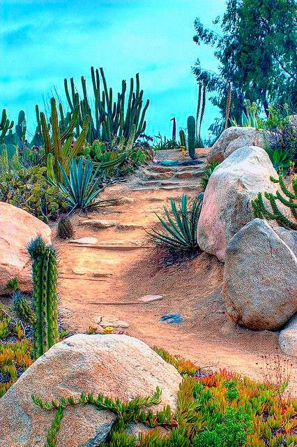 30 idées d'aménagement paysager du désert pour transformer votre cour terne en oasis - 237