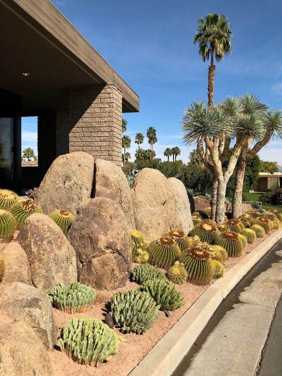 30 idées d'aménagement paysager du désert pour transformer votre cour terne en oasis - 239