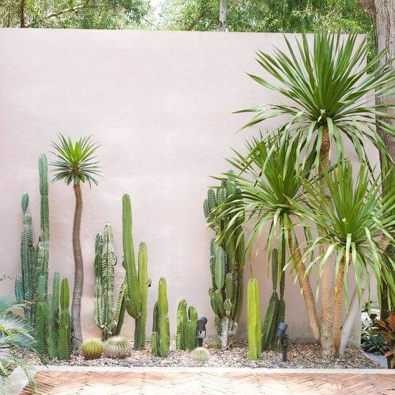30 idées d'aménagement paysager du désert pour transformer votre cour terne en oasis - 251