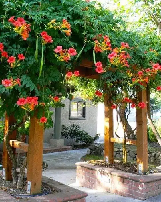 33 idées de clôtures de jardin ornées de superbes fleurs - 223