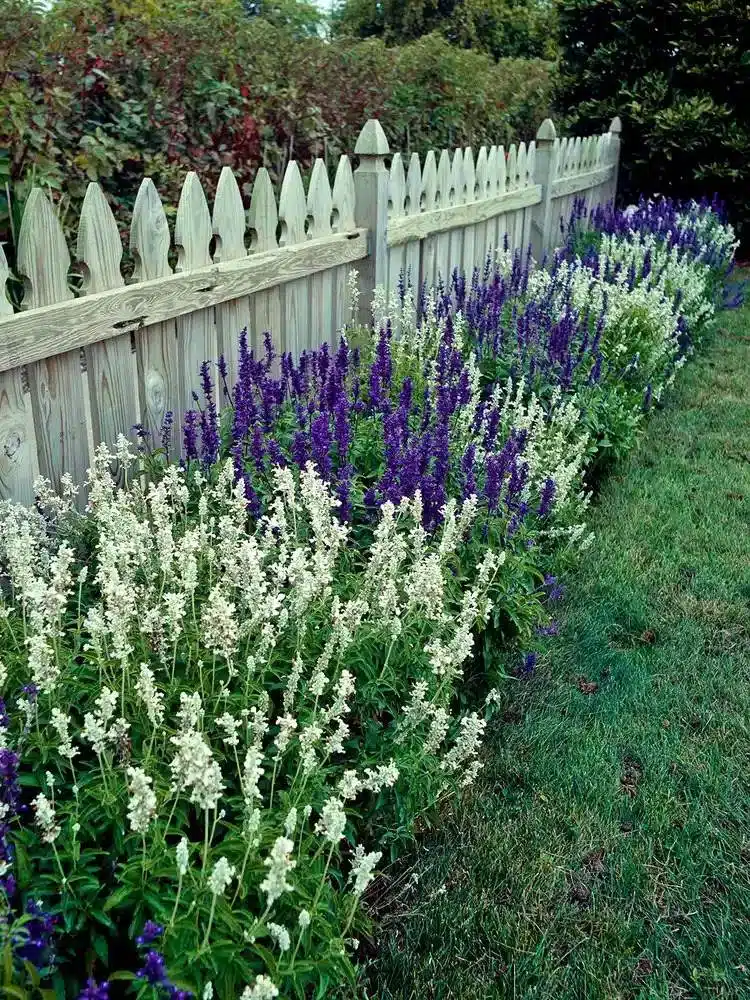 33 idées de clôtures de jardin ornées de superbes fleurs - 243