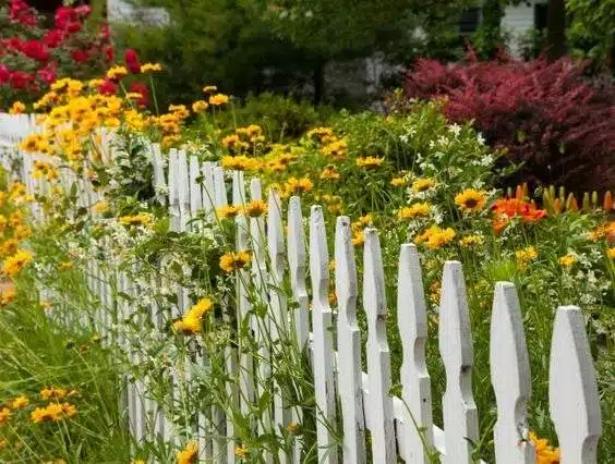 33 idées de clôtures de jardin ornées de superbes fleurs - 265