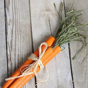Artisanat de Pâques avec des carottes en bois pour adultes