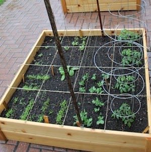 Boîtes de lit de jardin surélevées simples