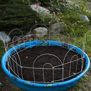 Idée de jardinage pour piscine pour enfants