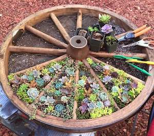 Lit de jardin surélevé avec roues de chariot